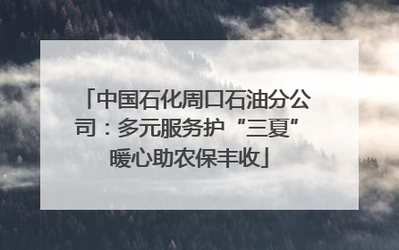 中国石化周口石油分公司：多元服务护“三夏” 暖心助农保丰收