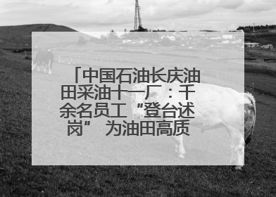 中国石油长庆油田采油十一厂：千余名员工“登台述岗” 为油田高质量发展赋能