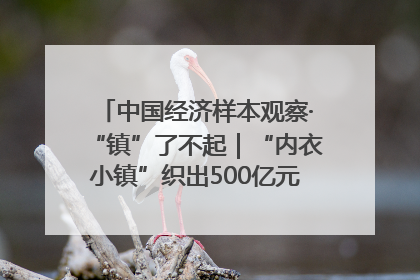 中国经济样本观察·“镇”了不起｜“内衣小镇”织出500亿元“里子产业”