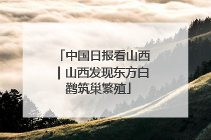 中国日报看山西｜山西发现东方白鹳筑巢繁殖