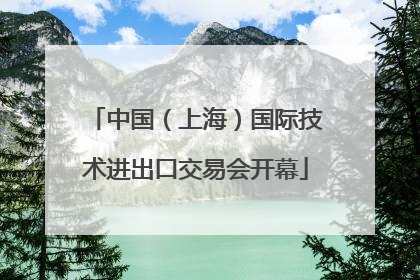中国（上海）国际技术进出口交易会开幕
