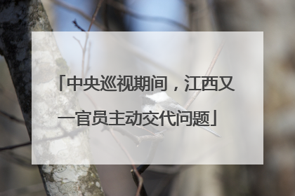 中央巡视期间，江西又一官员主动交代问题
