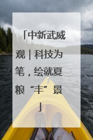 中新武威观｜科技为笔，绘就夏粮“丰”景