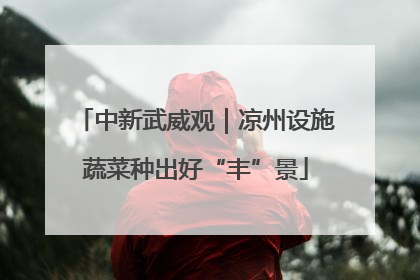 中新武威观｜凉州设施蔬菜种出好“丰”景
