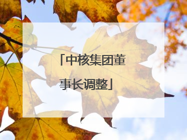 中核集团董事长调整