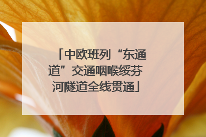 中欧班列“东通道”交通咽喉绥芬河隧道全线贯通