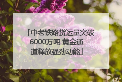 中老铁路货运量突破6000万吨 黄金通道释放强劲动能