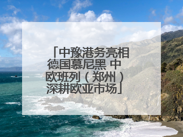 中豫港务亮相德国慕尼黑 中欧班列（郑州）深耕欧亚市场