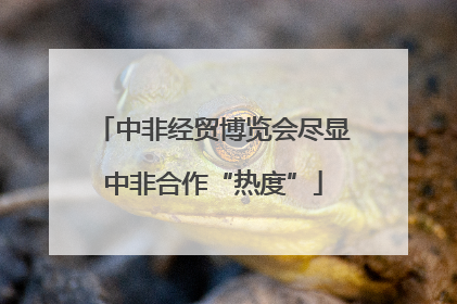中非经贸博览会尽显中非合作“热度”