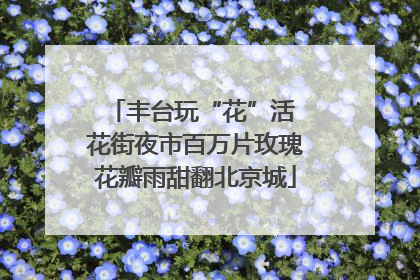 丰台玩“花”活 花街夜市百万片玫瑰花瓣雨甜翻北京城