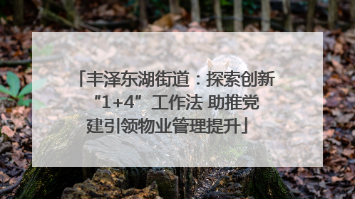 丰泽东湖街道：探索创新“1+4”工作法 助推党建引领物业管理提升