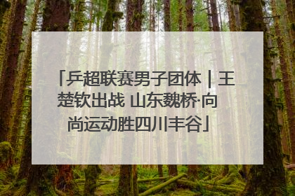 乒超联赛男子团体｜王楚钦出战 山东魏桥·向尚运动胜四川丰谷