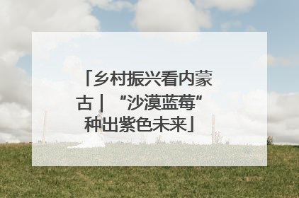 乡村振兴看内蒙古｜“沙漠蓝莓”种出紫色未来