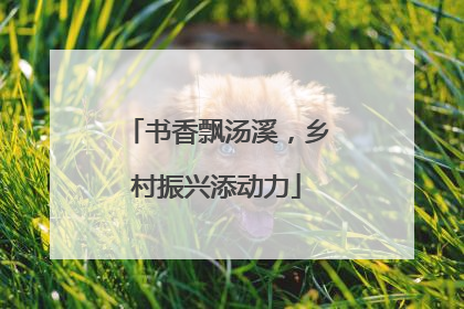 书香飘汤溪，乡村振兴添动力