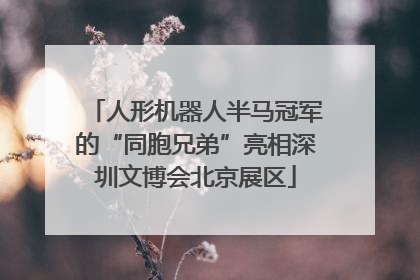 人形机器人半马冠军的“同胞兄弟”亮相深圳文博会北京展区