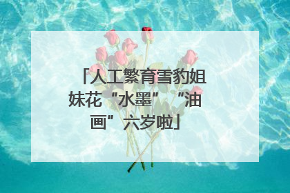 人工繁育雪豹姐妹花“水墨”“油画”六岁啦