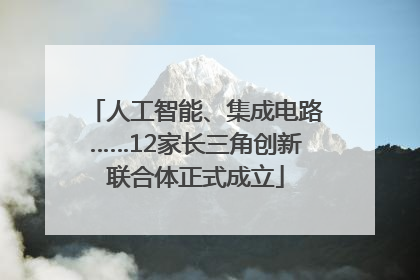 人工智能、集成电路……12家长三角创新联合体正式成立