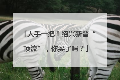 人手一把！绍兴新晋“顶流”，你买了吗？