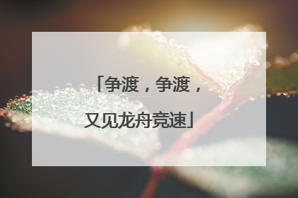 争渡，争渡，又见龙舟竞速