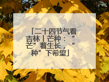 二十四节气看吉林丨芒种：“芒”着生长，“种”下希望