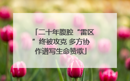 二十年腹腔“雷区”终被攻克 多方协作谱写生命赞歌