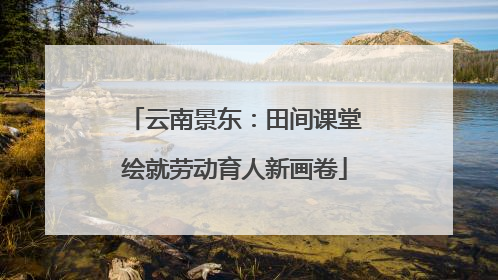 云南景东：田间课堂绘就劳动育人新画卷
