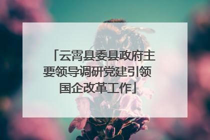 云霄县委县政府主要领导调研党建引领国企改革工作