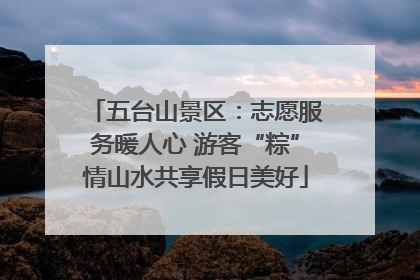 五台山景区：志愿服务暖人心 游客“粽”情山水共享假日美好