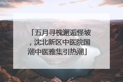 五月寻槐邂逅怪坡，沈北新区中医院国潮中医雅集引热潮