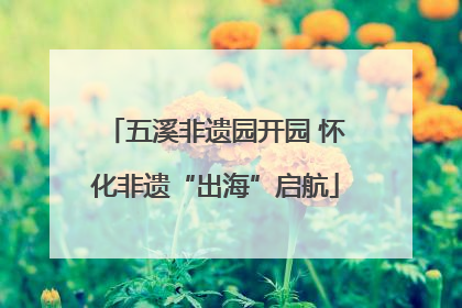 五溪非遗园开园 怀化非遗“出海”启航