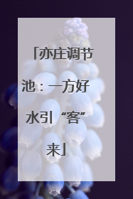 亦庄调节池：一方好水引“客”来
