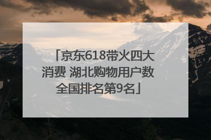 京东618带火四大消费 湖北购物用户数全国排名第9名