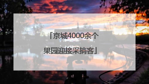 京城4000余个果园迎接采摘客