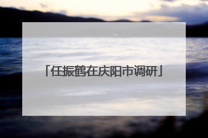 任振鹤在庆阳市调研