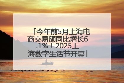 今年前5月上海电商交易额同比增长6.1%！2025上海数字生活节开幕