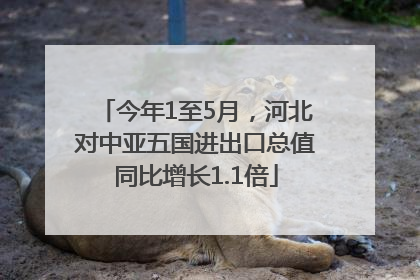 今年1至5月，河北对中亚五国进出口总值同比增长1.1倍