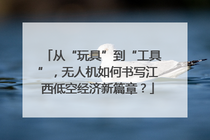 从“玩具”到“工具”，无人机如何书写江西低空经济新篇章？