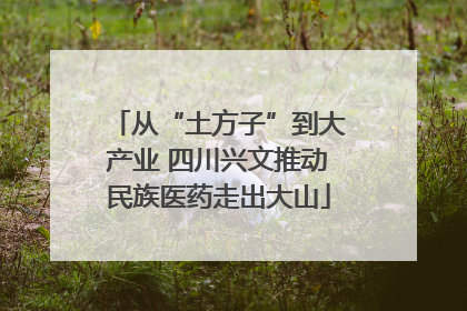 从“土方子”到大产业 四川兴文推动民族医药走出大山