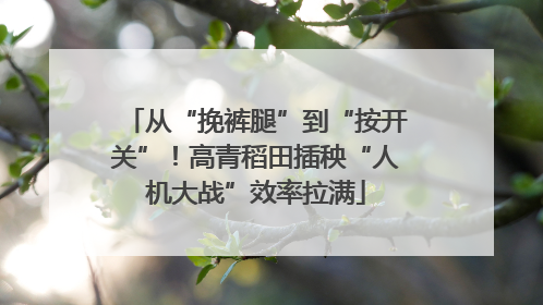 从“挽裤腿”到“按开关”！高青稻田插秧“人机大战”效率拉满