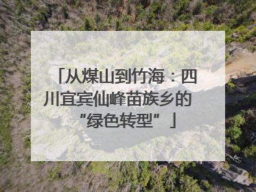 从煤山到竹海：四川宜宾仙峰苗族乡的“绿色转型”