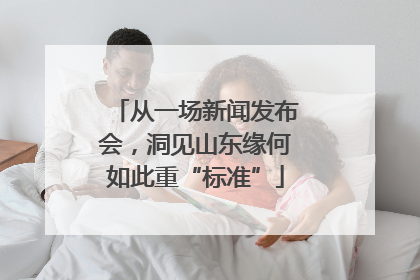 从一场新闻发布会，洞见山东缘何如此重“标准”