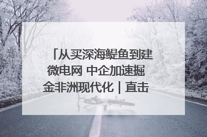 从买深海鳀鱼到建微电网 中企加速掘金非洲现代化｜直击中非经贸博览会