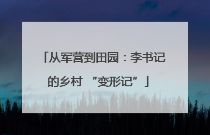 从军营到田园：李书记的乡村 “变形记”