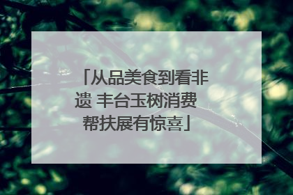 从品美食到看非遗 丰台玉树消费帮扶展有惊喜