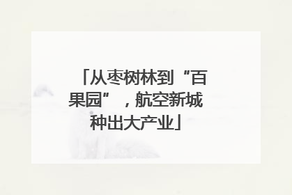 从枣树林到“百果园”，航空新城种出大产业