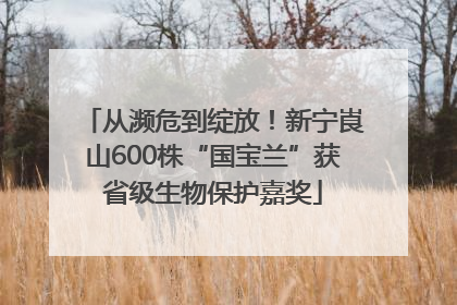 从濒危到绽放！新宁崀山600株“国宝兰”获省级生物保护嘉奖