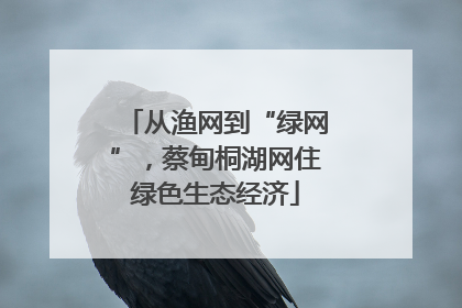 从渔网到“绿网”，蔡甸桐湖网住绿色生态经济