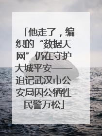 他走了，编织的“数据天网”仍在守护大城平安——追记武汉市公安局因公牺牲民警万松