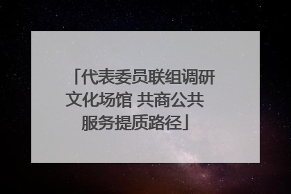 代表委员联组调研文化场馆 共商公共服务提质路径
