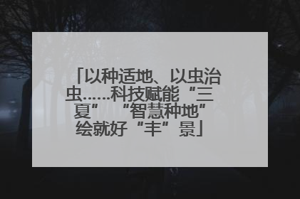 以种适地、以虫治虫……科技赋能“三夏” “智慧种地”绘就好“丰”景